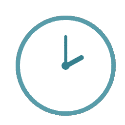 Input Image 5